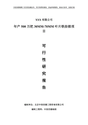 年产500万把30MM-70MM叶片铁挂锁可行性研究报告建议书.doc