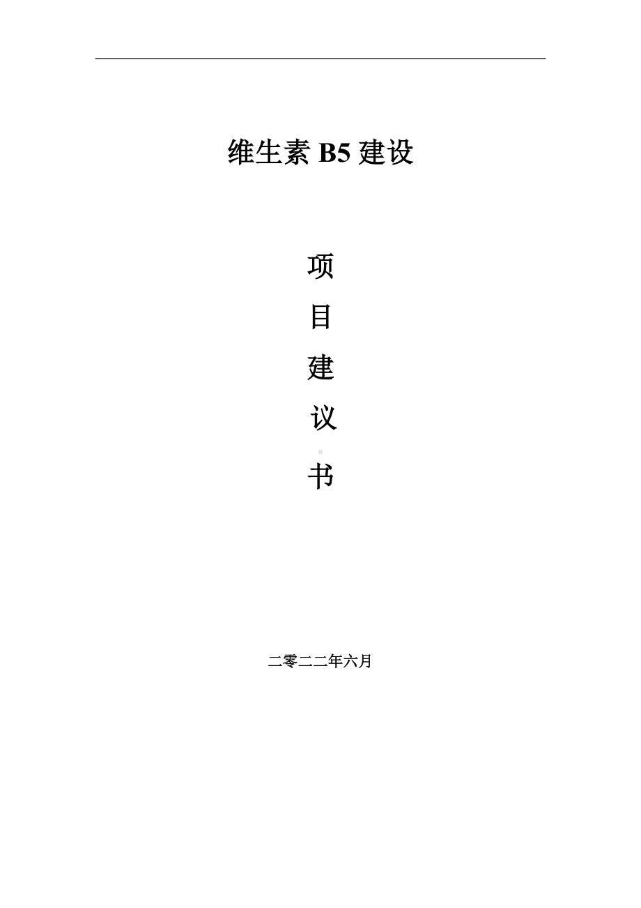 维生素B5项目建议书（写作模板）.doc_第1页