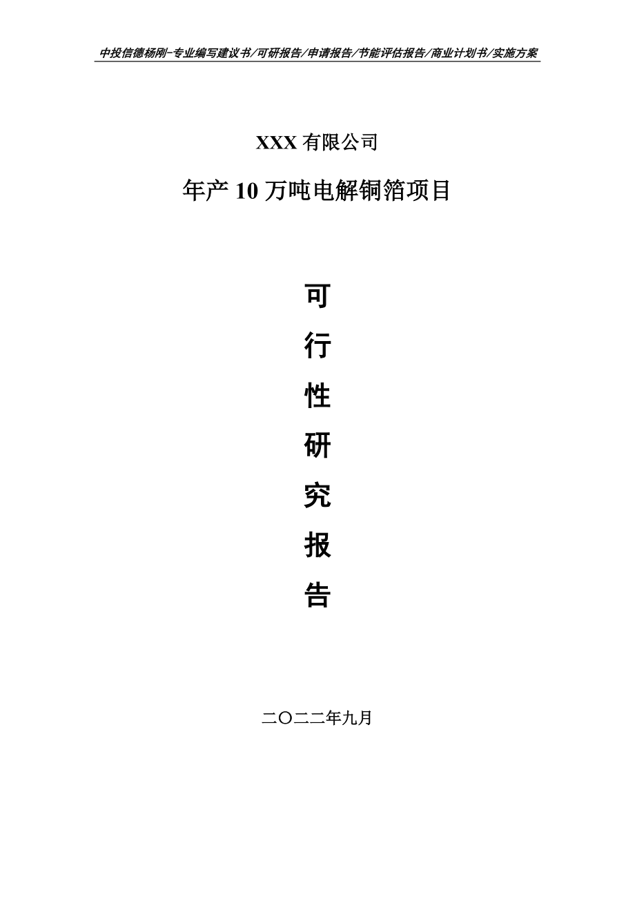 年产10万吨电解铜箔项目申请报告可行性研究报告.doc_第1页