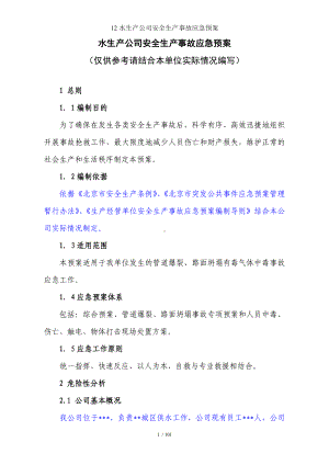 12水生产公司安全生产事故应急预案参考模板范本.doc