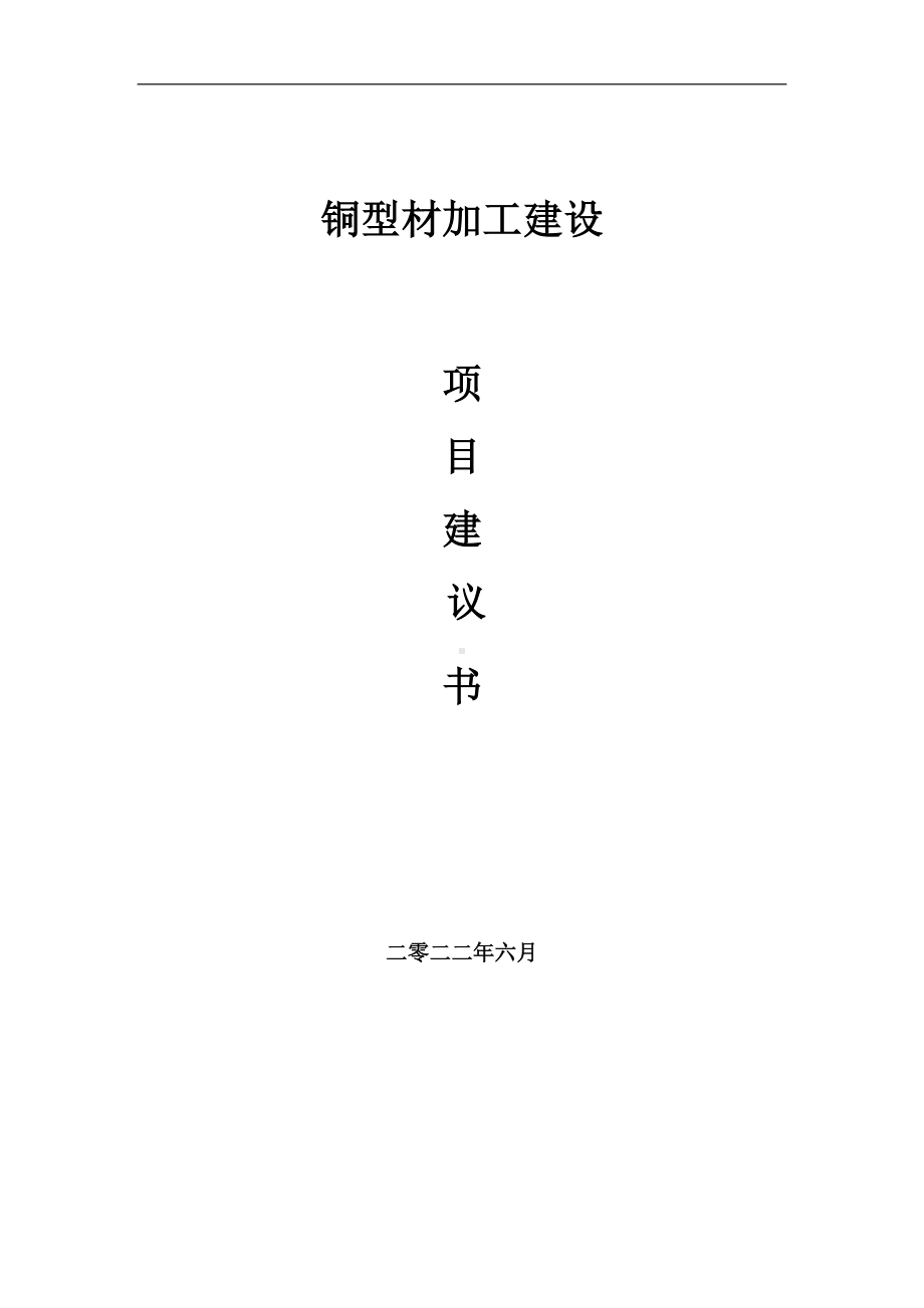 铜型材加工项目建议书（写作模板）.doc_第1页