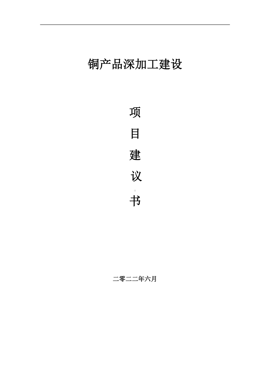 铜产品深加工项目建议书（写作模板）.doc_第1页