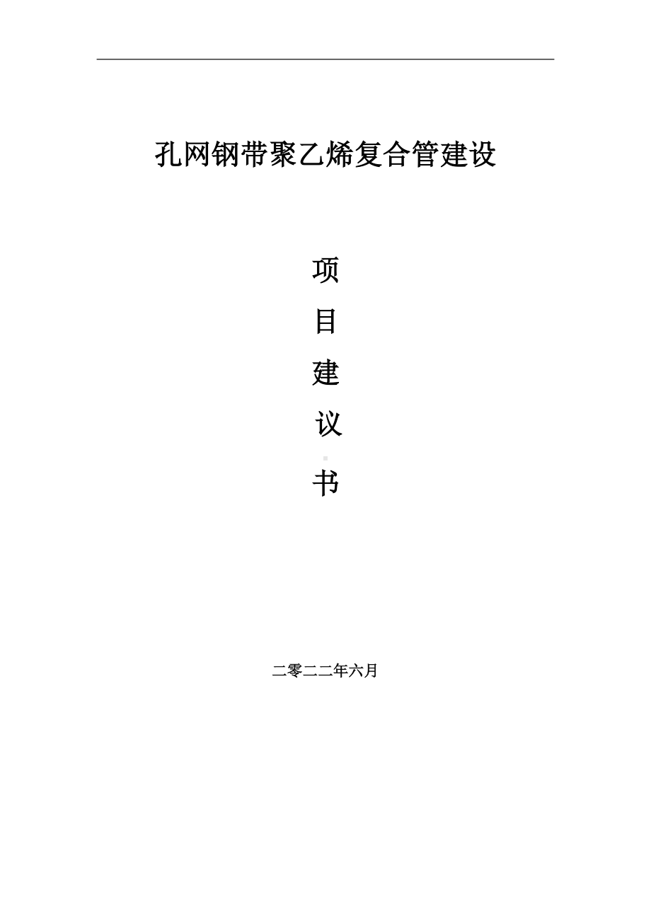 孔网钢带聚乙烯复合管项目建议书（写作模板）.doc_第1页