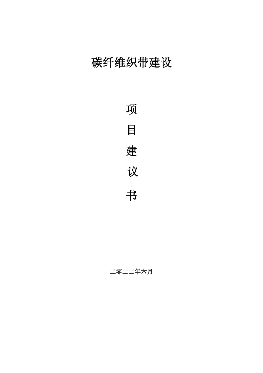 碳纤维织带项目建议书（写作模板）.doc_第1页