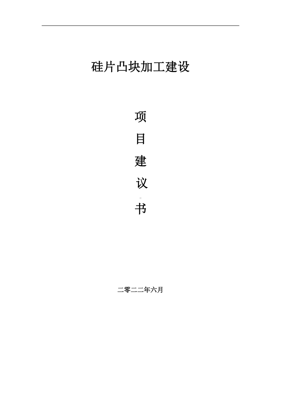 硅片凸块加工项目建议书（写作模板）.doc_第1页