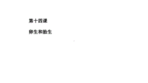 十四课卵生和胎生-完整版课件.ppt