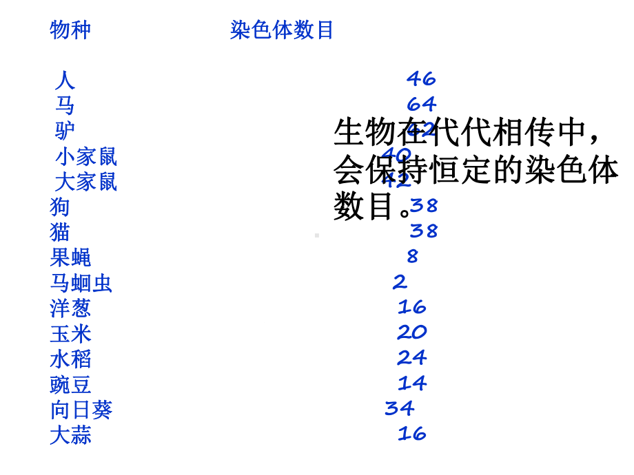 探究减数分裂的基本过程课件.ppt_第1页