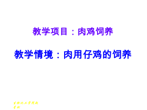 家禽生产教学情境：肉用仔鸡饲养课件.ppt