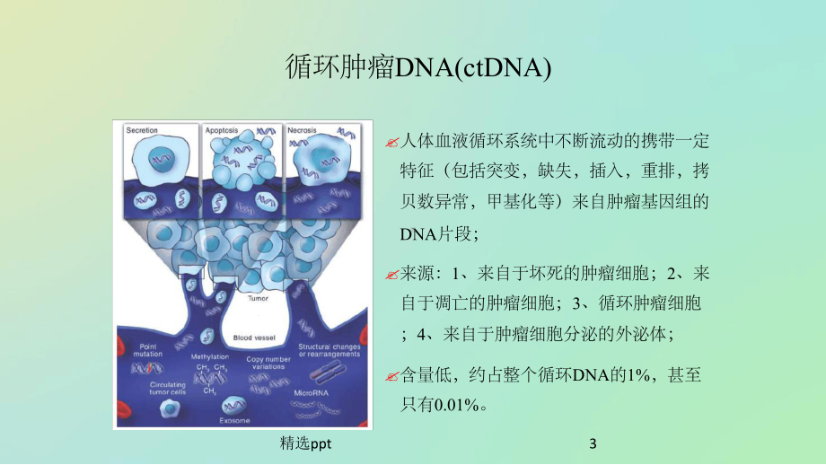 循环肿瘤DNA意义课件.ppt_第3页