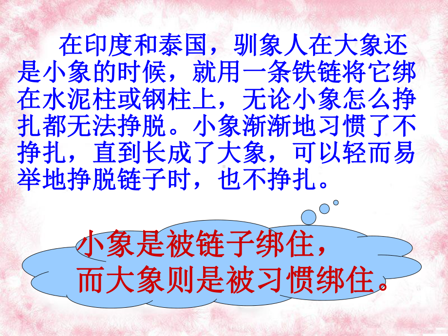 习惯决定命运—实验中学主题班会活动课ppt课件（共37张ppt）.ppt_第3页