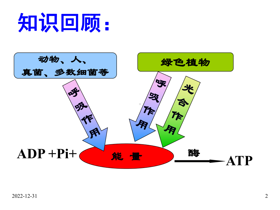 必修1-第5章-第3节ATP的主要来源-细胞呼吸课件.ppt_第2页