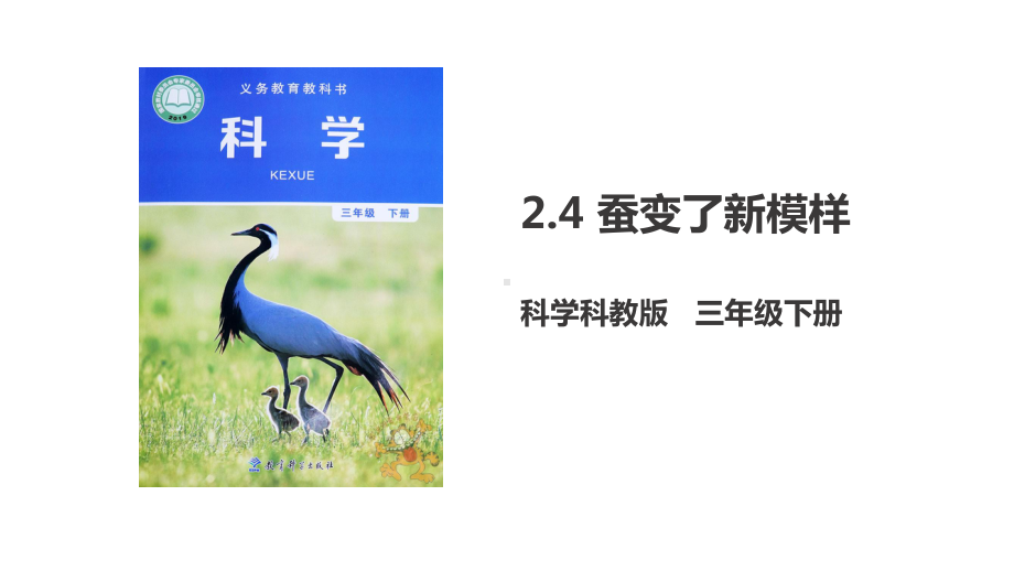 教科版科学三下课件24-蚕变了新模样.ppt_第1页