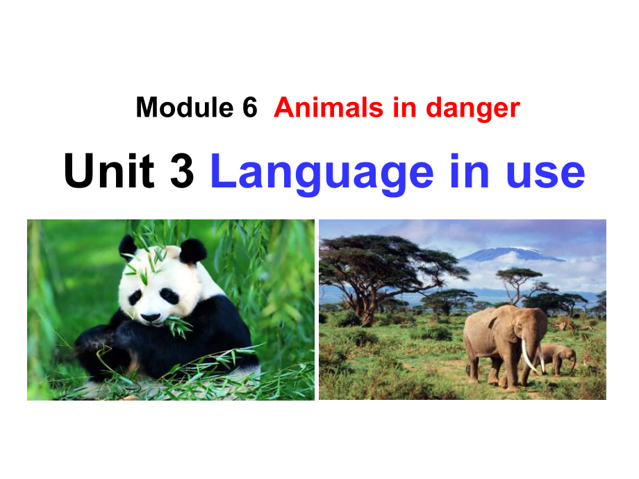 外研版八上《Module6-Animals-in-danger》(Unit3)课件.ppt-(课件无音视频)_第1页