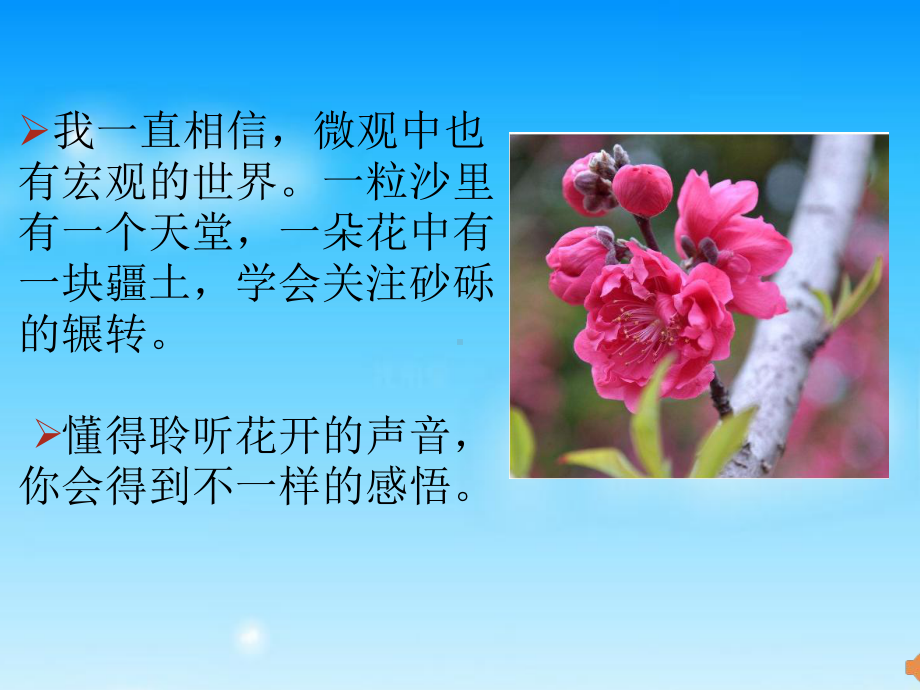 教师数字故事聆听花开的声音课件.pptx_第3页