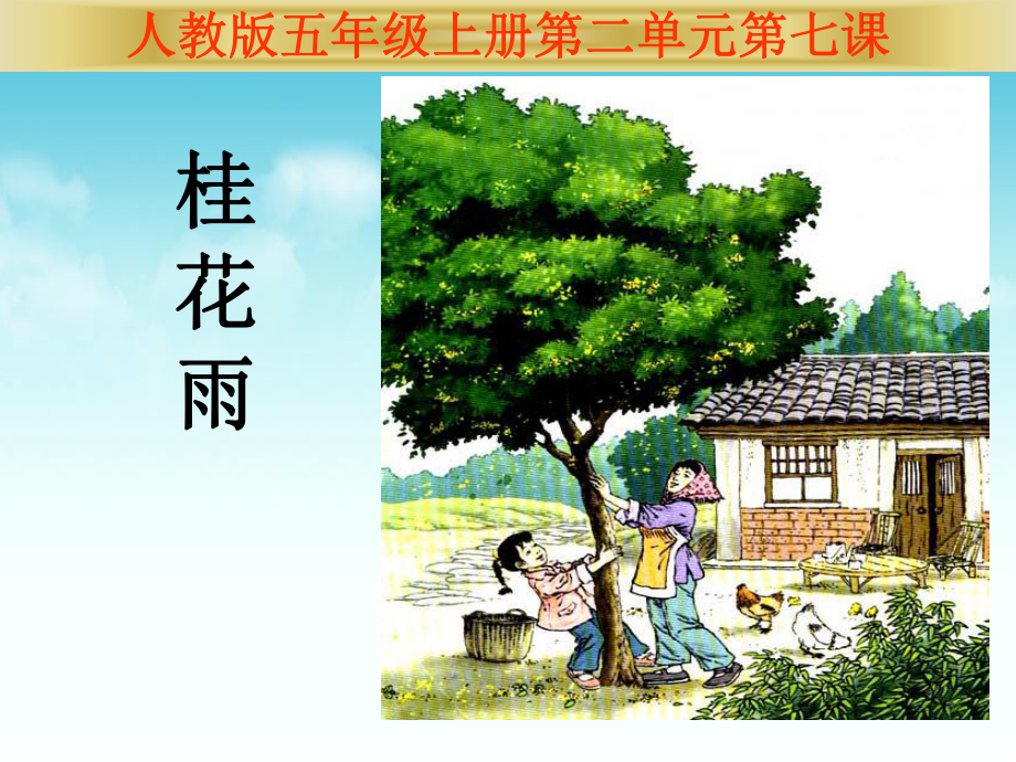 桂花雨-说课课件.ppt_第1页