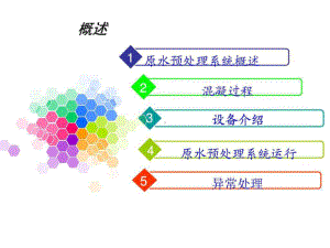 原水预处理系统课件.pptx