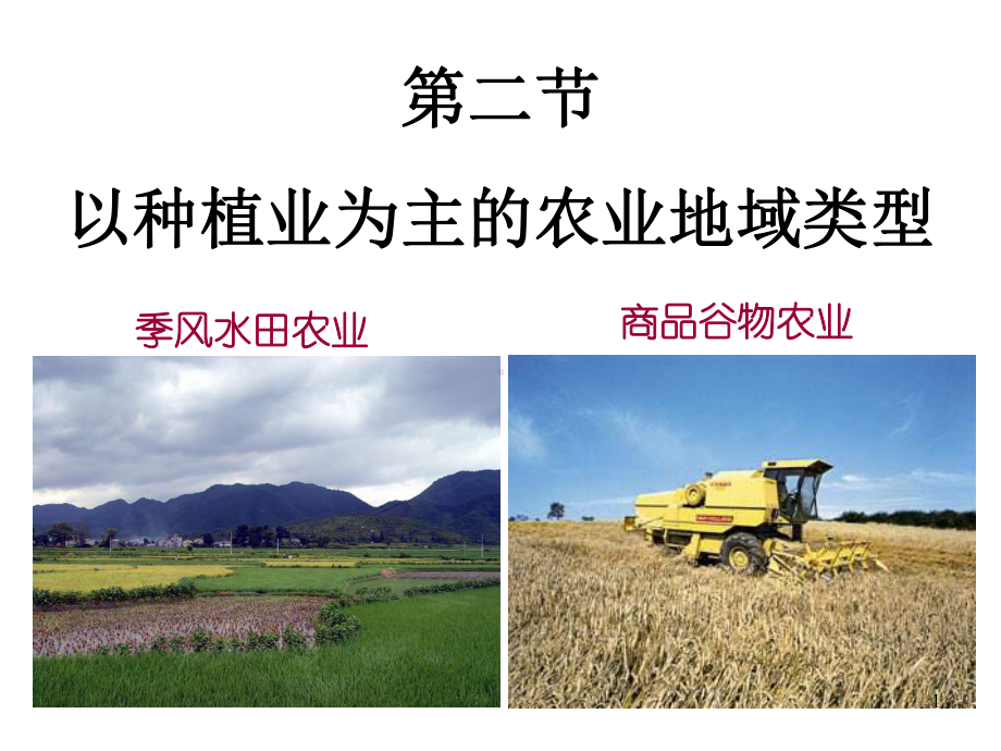 商品谷物农业课件.ppt_第1页