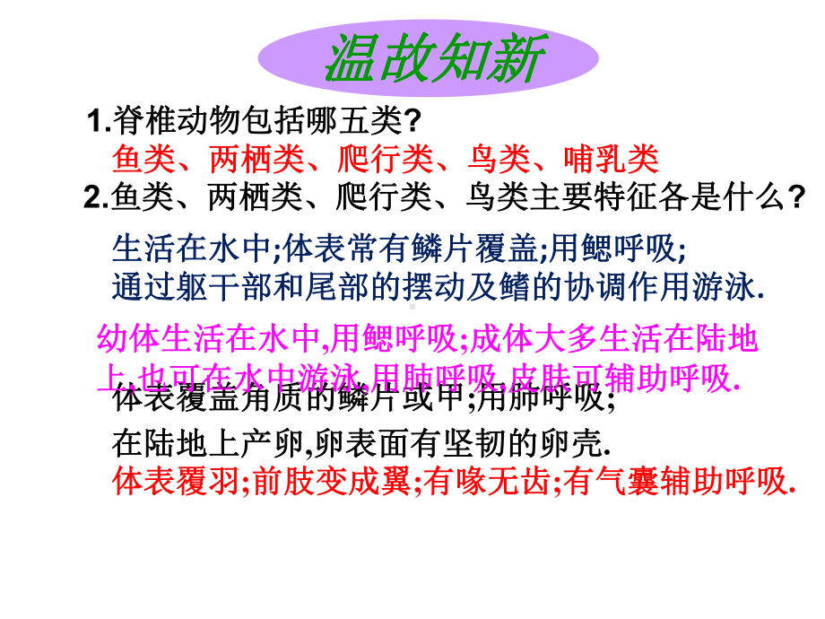 河北省人教版八年级生物上册-517哺乳动物-课件-(共30张).ppt_第1页