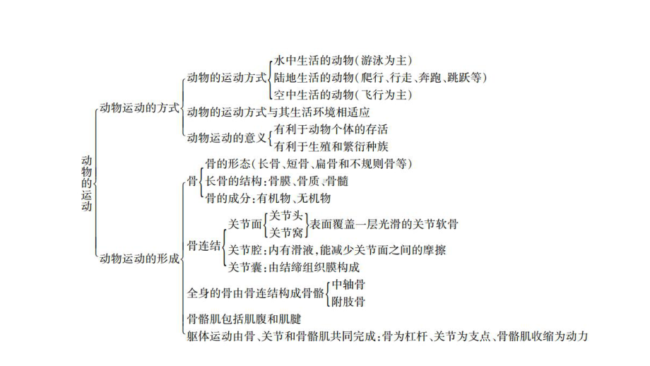 北师大版八年级生物上册总复习课件《第15章动物的运动》复习.ppt_第3页