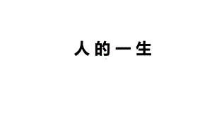 小学科学《人的一生》优质课件.pptx