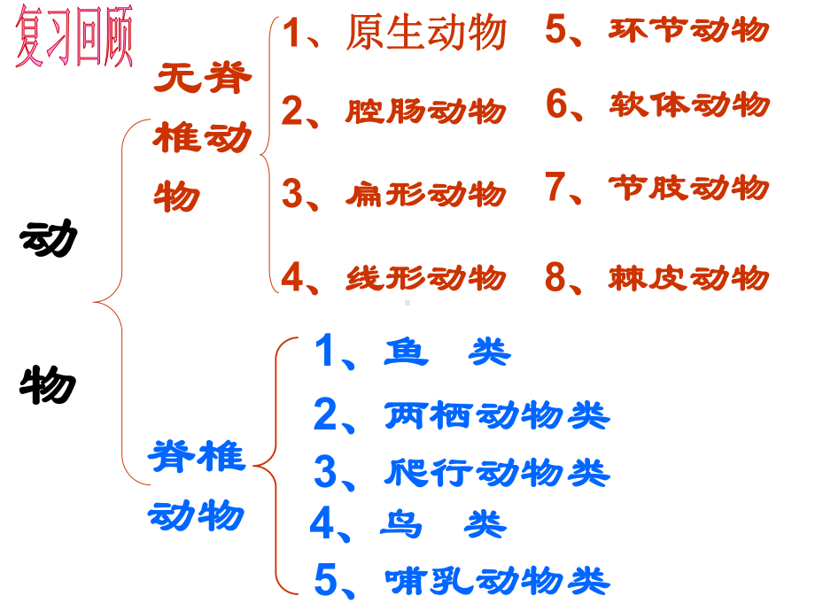 浙教版科学七年级上册-25《常见的植物》(共42张)课件.ppt_第2页