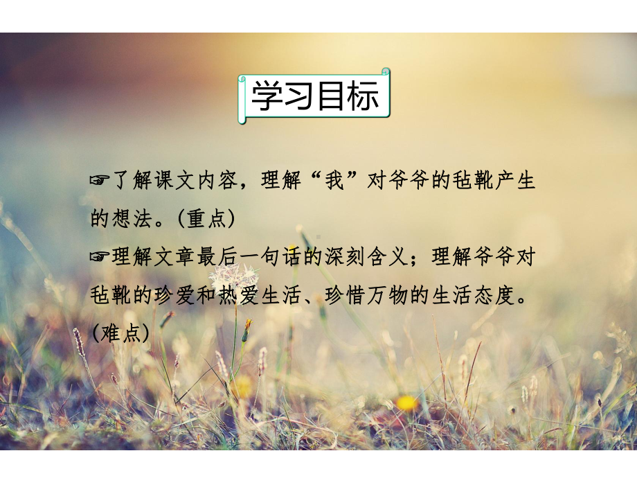 北师大版小学六年级语文下册《爷爷的毡靴》观摩课示范课公开课优质课赛教课课件.pptx_第2页