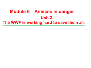 外研版八年级英语上册Module-6-《Unit-2-The-WWF-is-working-hard-to-save-them-all》课件.ppt--（课件中不含音视频）--（课件中不含音视频）