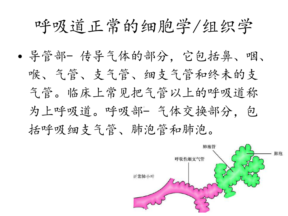 呼吸道脱落细胞学检查(课件.ppt_第3页