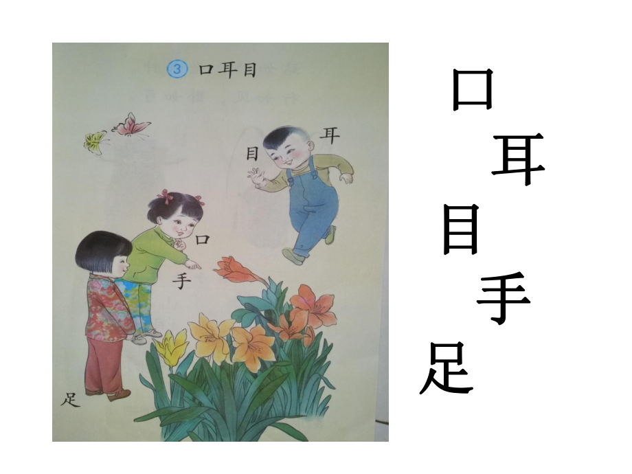 小学语文统编版一年级语文上册课件《口耳目》课件-课件.ppt_第1页