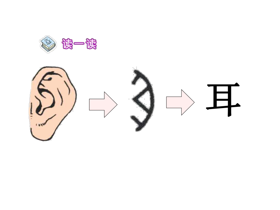 小学语文统编版一年级语文上册课件《口耳目》课件-课件.ppt_第3页