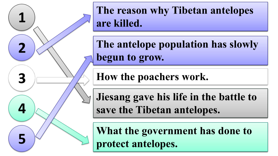 外研版高中英语Book5Module-6-Saving-the-antelopes课件.pptx-(课件无音视频)_第3页