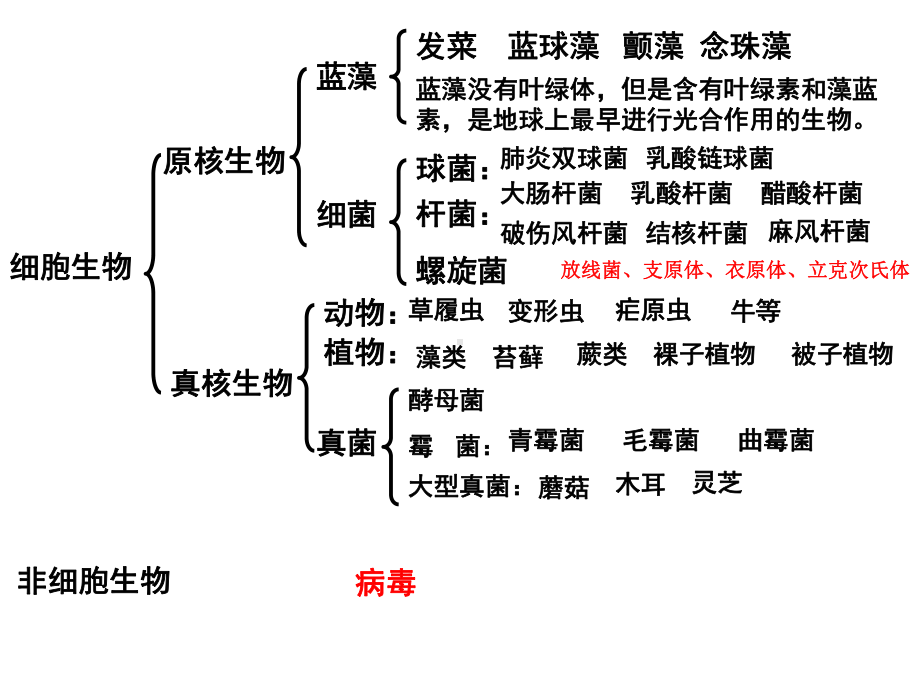 多种多样的细胞-(共52张)课件.ppt_第1页