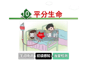 平分生命课件4上长春版.ppt