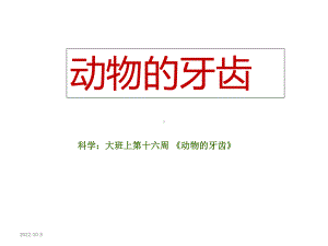 幼儿园大班科学《动物的牙齿》课件.ppt