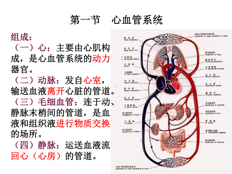 心血管系统常见疾病的药物治疗课件.pptx_第1页