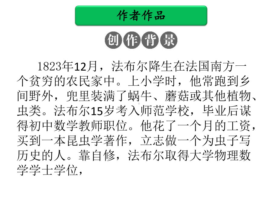 名著阅读课件部编版八年级语文上册第六部《昆虫记》.ppt_第3页