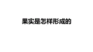 小学科学《果实是怎样形成的》优质课件.pptx