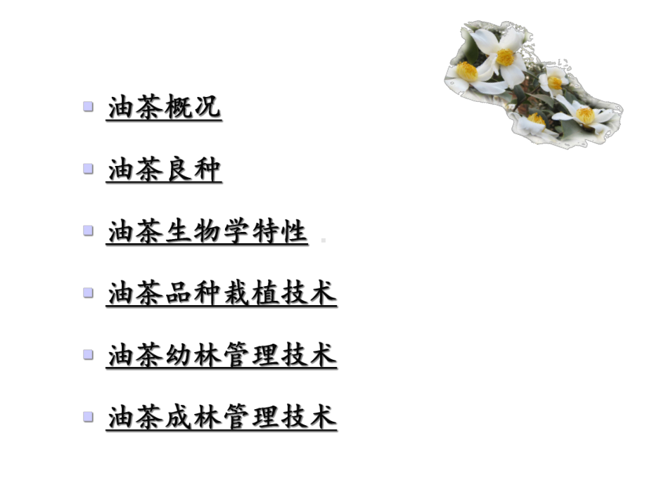 油茶种植与抚育管理技术课件.ppt_第2页