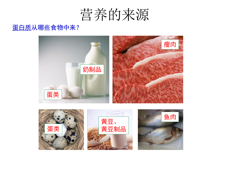 学生食品安全教育课件.ppt_第3页