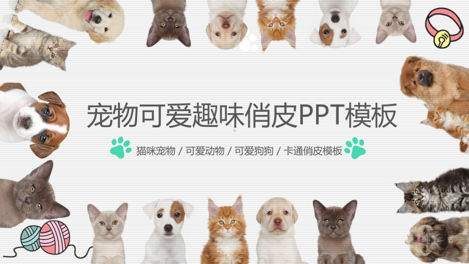 宠物可爱趣味俏皮模板课件.pptx_第1页