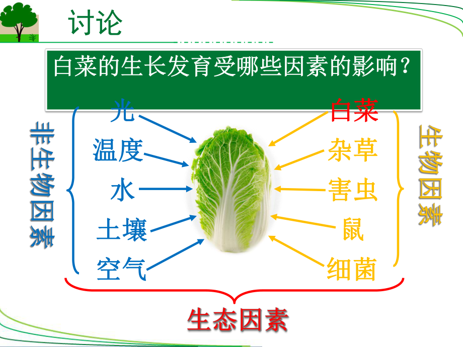 北师大版生物七年级上册12生物与环境的相互影响课件.ppt_第2页