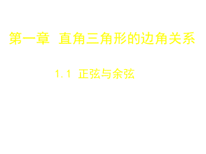 北师大版数学九下《正弦与余弦》课件.ppt