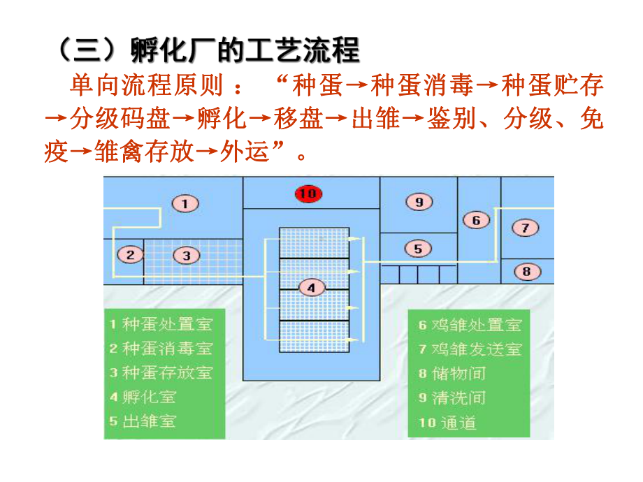 家禽生产教学情境：孵化前的准备课件.ppt_第3页