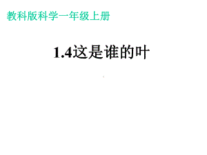 教科版一年级科学上册课件：《14这是谁的叶》-新教材.ppt