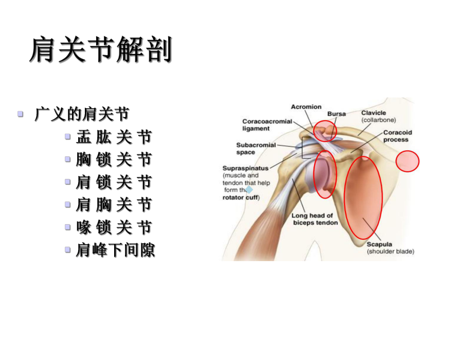 最终版脑卒中肩痛肩关节半脱位课件.ppt_第2页