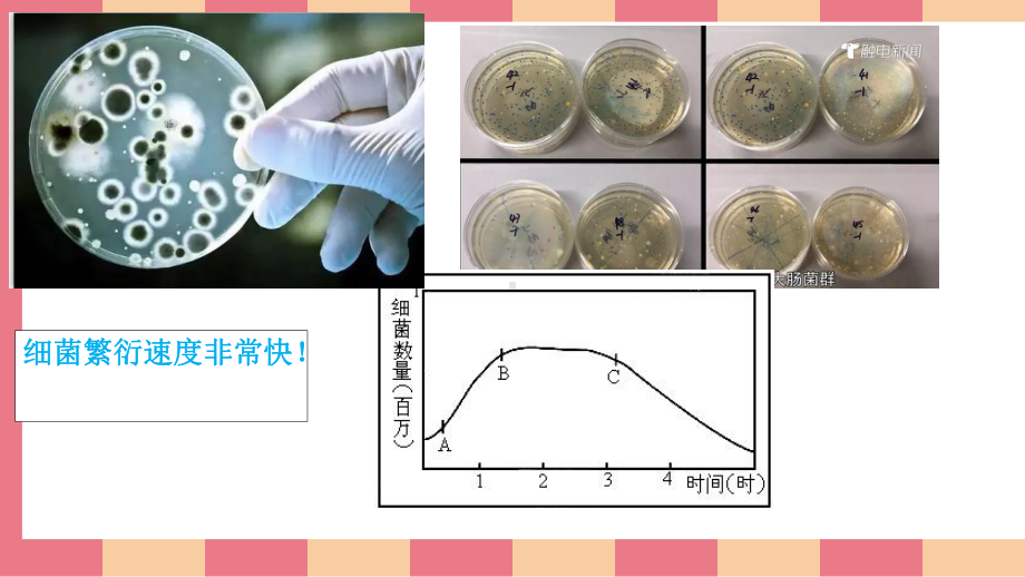 北师大版二年级上册活动教育活动1《清洗我的小水杯》课件（定稿）.ppt_第2页