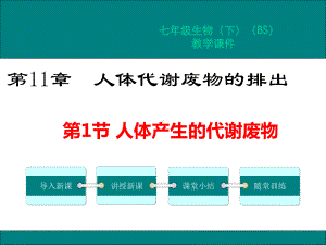 北师大版七年级生物下册第11章人体代谢废物的排出课件.pptx