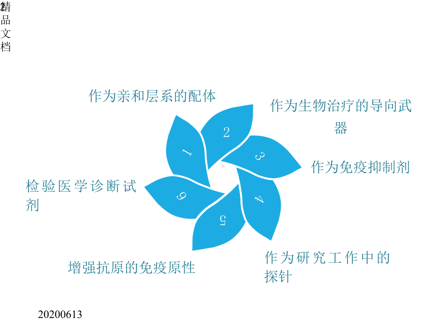 单克隆抗体应用-医学课件.pptx_第2页