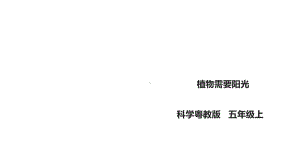 新粤教版科学五年级上册科学15《植物需要阳光》课件.ppt