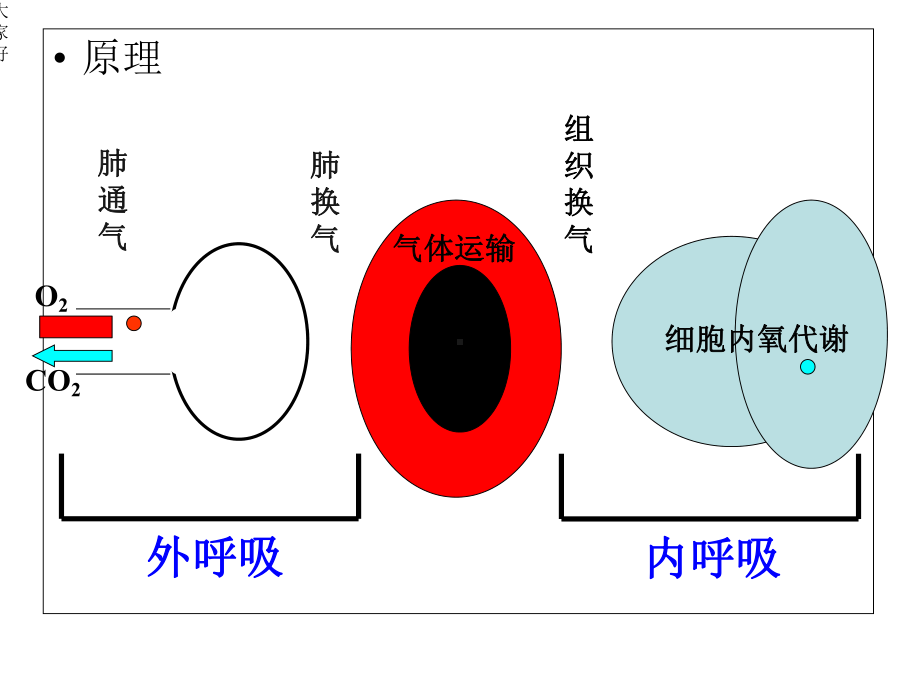 呼吸困难的护理-课件.ppt_第3页